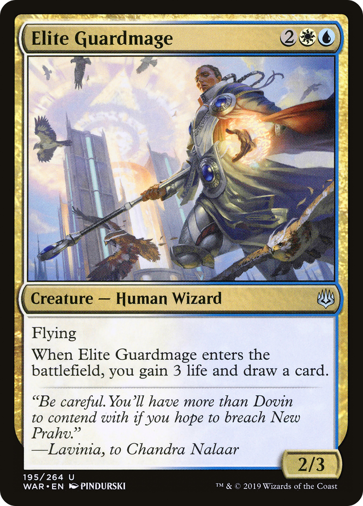 Elite Guardmage (195) - LP - front