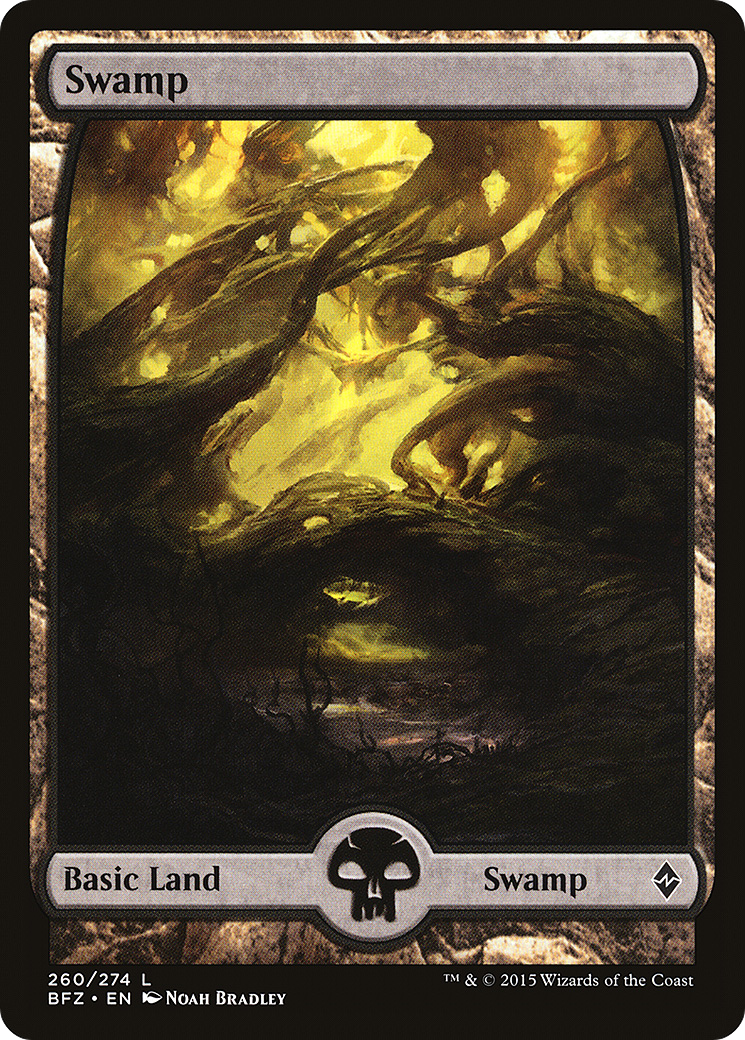 Swamp (260) - FULL ART - NM - front
