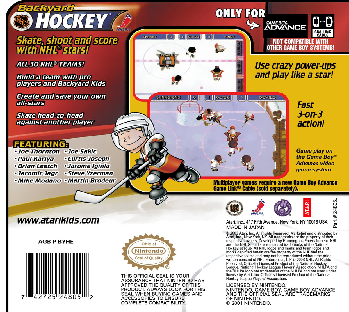 Backyard Hockey - back