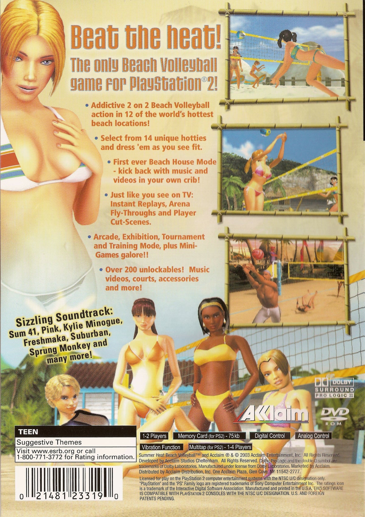 Summer Heat Beach Volleyball - back