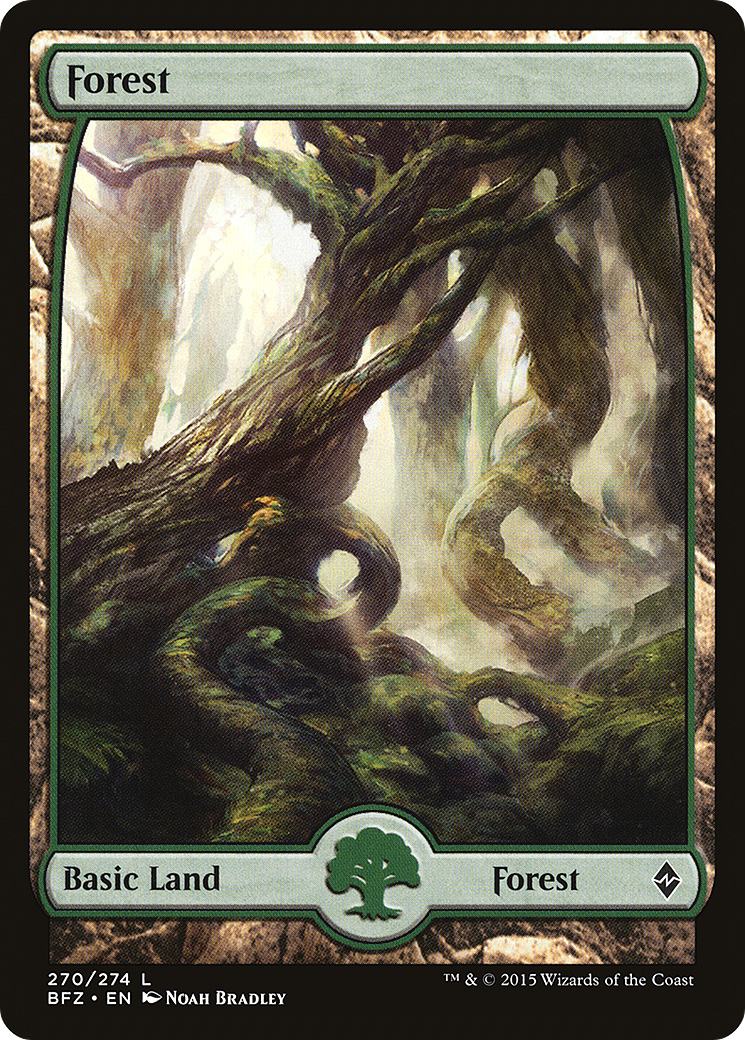 Forest (270) - FULL ART - NM - front