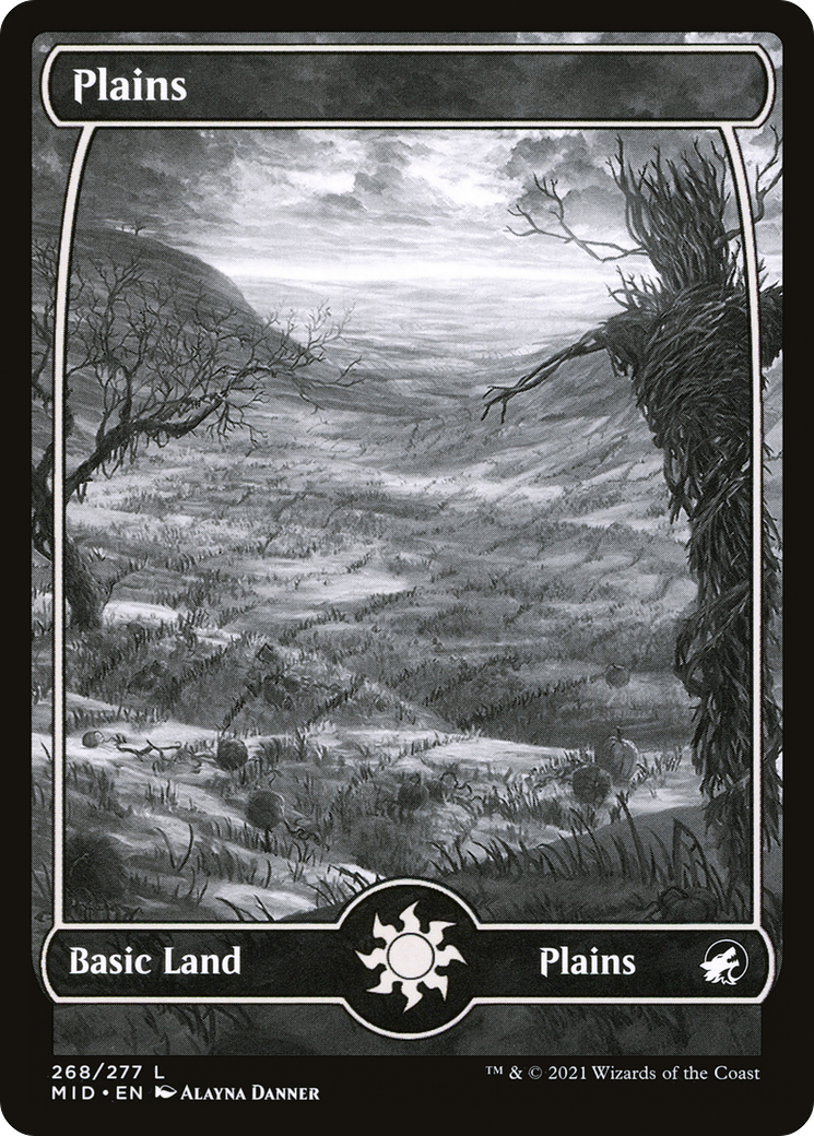 Plains (268) - SHOWCASE - FULL ART - NM - front