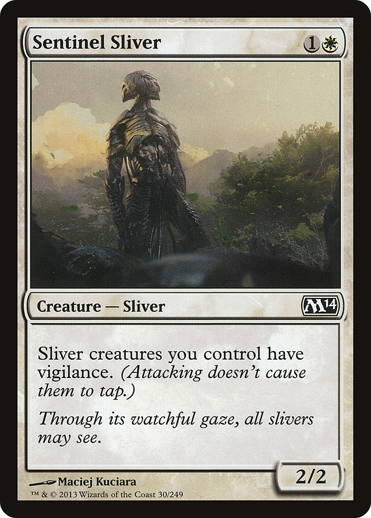 Sentinel Sliver (30) - LP - front