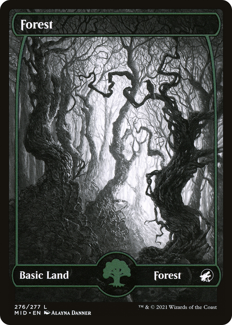 Forest (276) - SHOWCASE - FULL ART - NM - front
