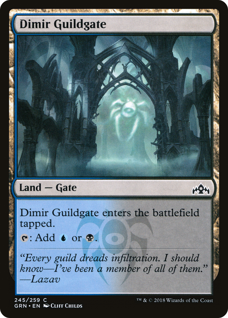 Dimir Guildgate (245) - LP - front