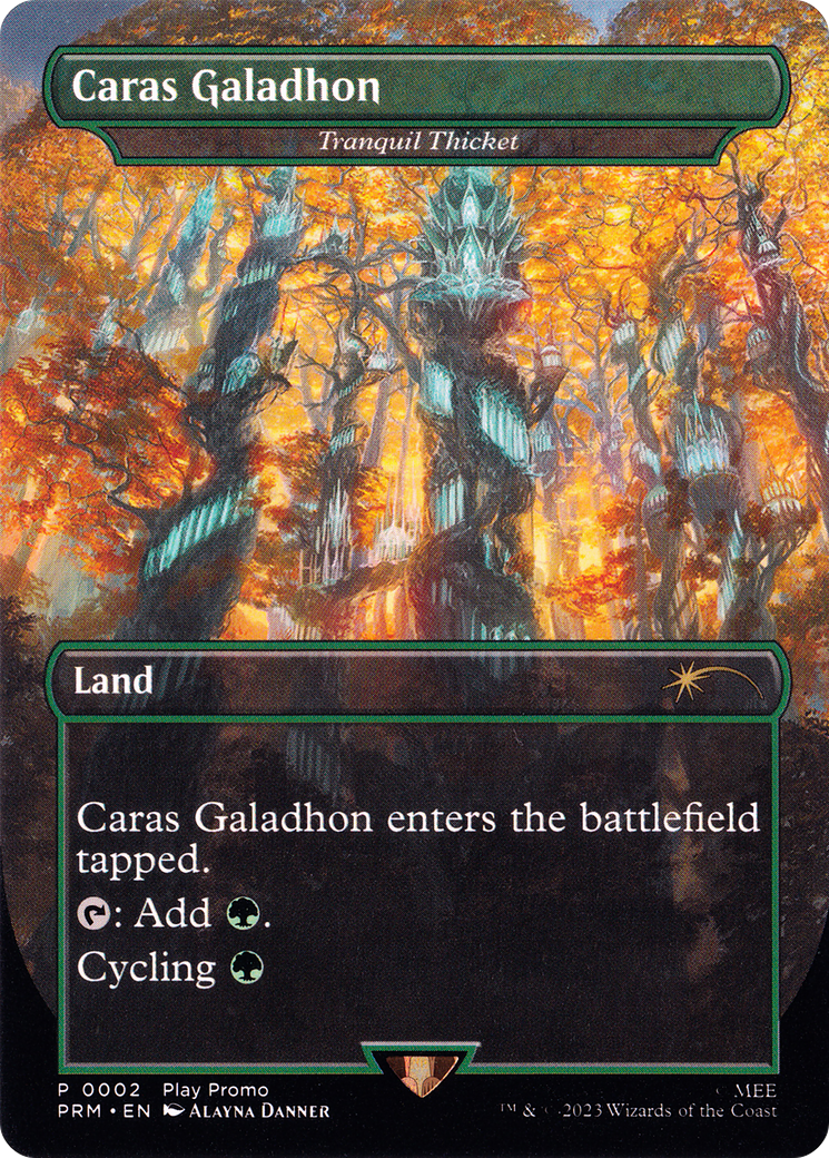 Tranquil Thicket (2) - BORDERLESS - FULL ART - NM - front